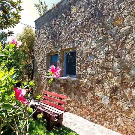 Casa Da Magnolia * Murtosa