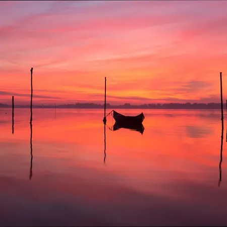 게스트하우스 Casa Da Magnolia Murtosa