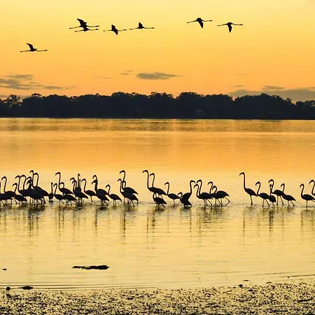 게스트하우스 Casa Da Magnolia