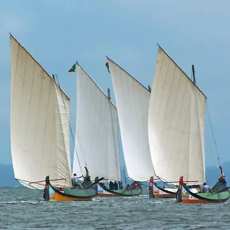 Casa Da Magnolia Konukevi Murtosa