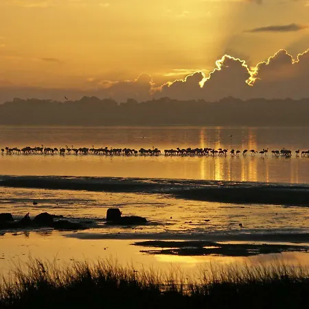 Casa Da Magnolia Konukevi