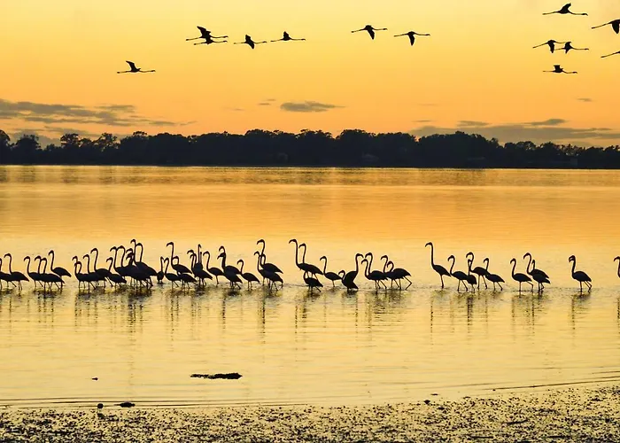 ゲストハウス Casa Da Magnolia