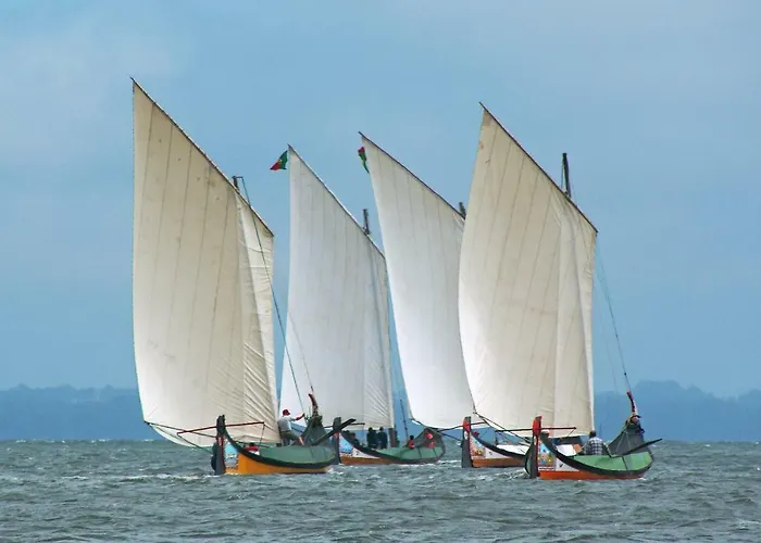 Casa Da Magnolia ゲストハウス Murtosa