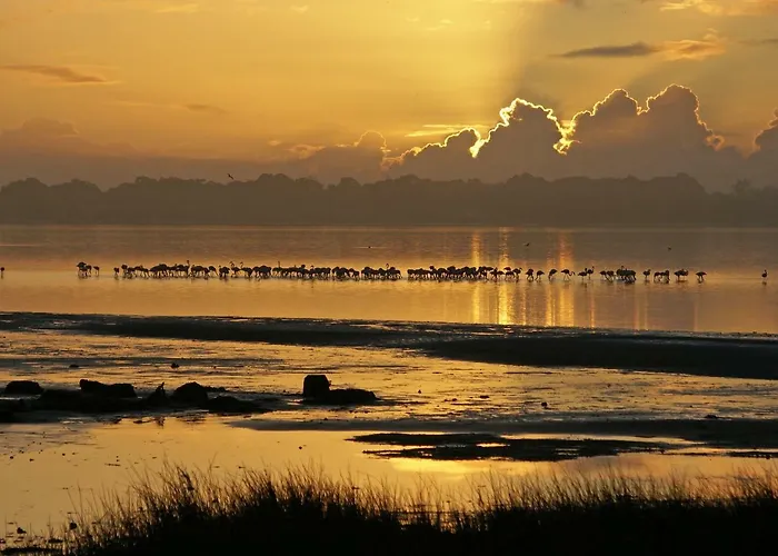 Casa Da Magnolia ゲストハウス